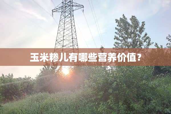 玉米糁儿有哪些营养价值？