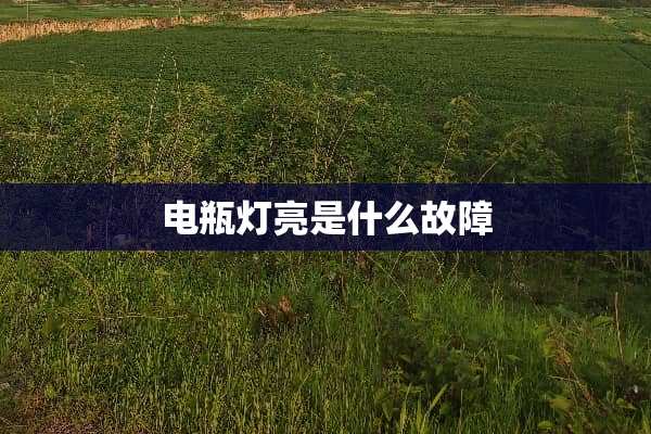 电瓶灯亮是什么故障