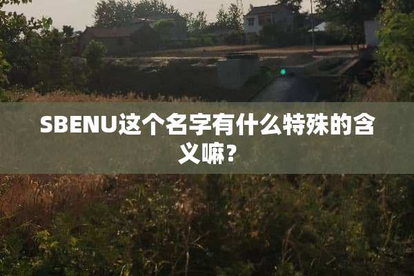 SBENU这个名字有什么特殊的含义嘛？