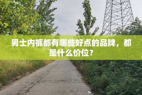 男士**都有哪些好点的品牌，都是什么价位？