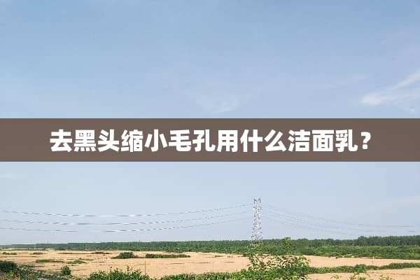 去黑头缩小毛孔用什么洁面*？