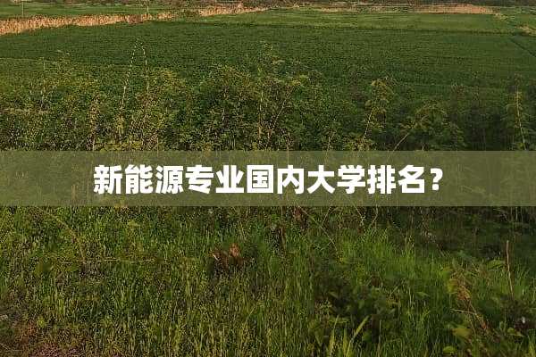新能源专业国内大学排名？