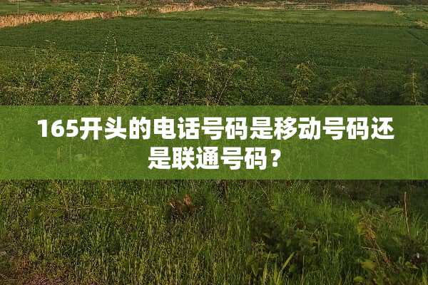 165开头的电话号码是移动号码还是联通号码？