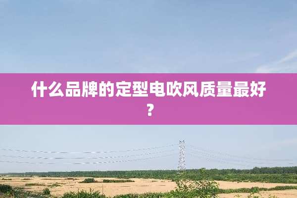 什么品牌的定型电吹风质量最好？