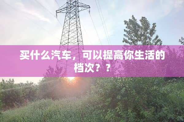 买什么汽车，可以提高你生活的档次？？