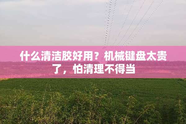什么清洁胶好用？机械键盘太贵了，怕清理不得当