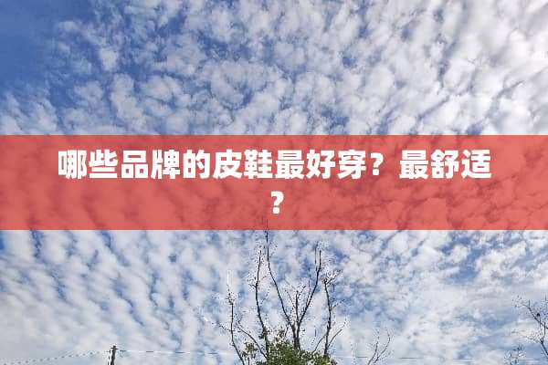 哪些品牌的皮鞋最好穿？最舒适？