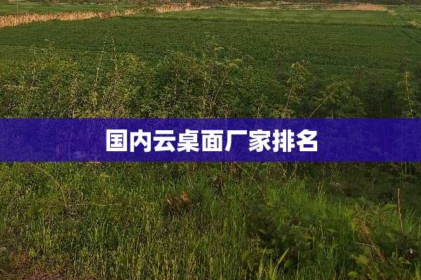国内云桌面厂家排名