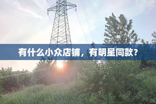 有什么小众店铺，有明星同款？