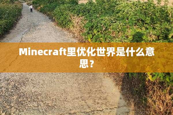 Minecraft里优化世界是什么意思？