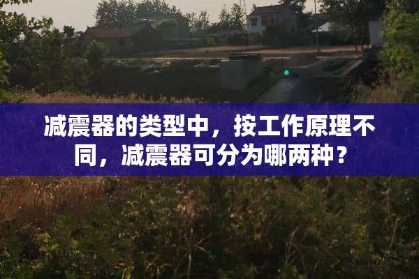 减震器的类型中，按工作原理不同，减震器可分为哪两种？