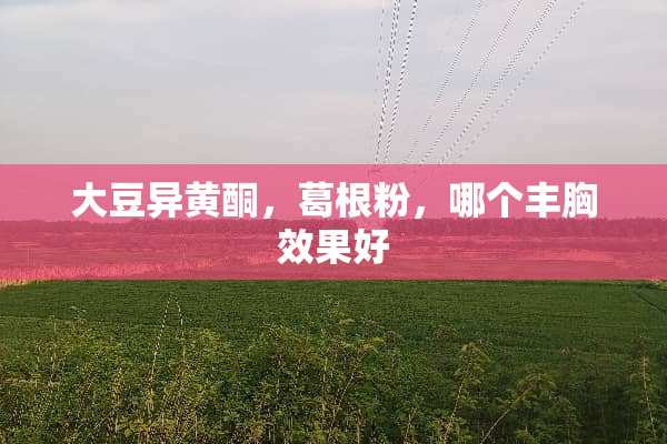 大豆异黄酮，葛根粉，哪个丰胸效果好