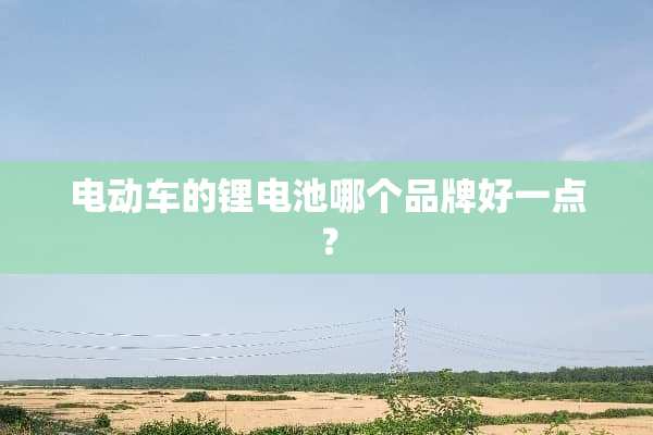 电动车的锂电池哪个品牌好一点？