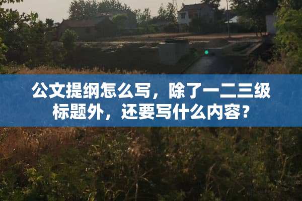 公文提纲怎么写，除了一二**标题外，还要写什么内容？