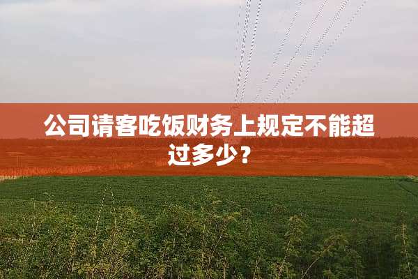 公司请客吃饭财务上规定不能超过多少？