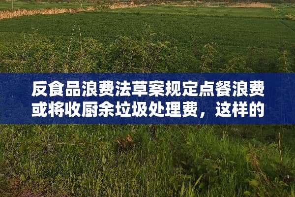 反食品浪费法草案规定点餐浪费或将收厨余垃圾处理费，这样的提议合理吗？