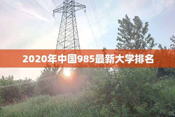 2020年中国985最新大学排名