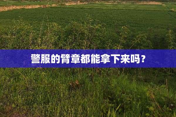 **的臂章都能拿下来吗？