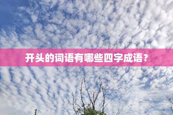 开头的词语有哪些四字成语？