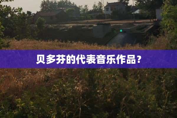 贝多芬的代表音乐作品？