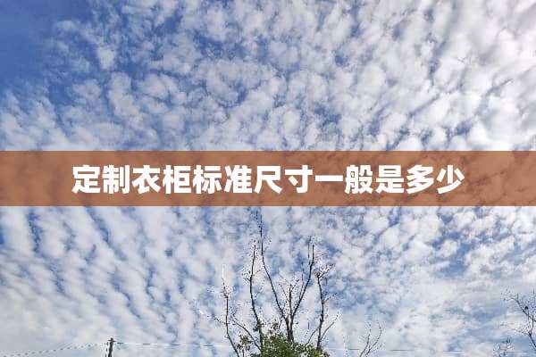 定制衣柜标准尺寸一般是多少