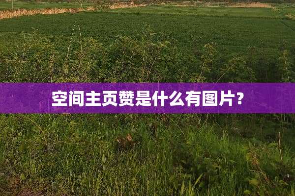空间主页赞是什么有图片？
