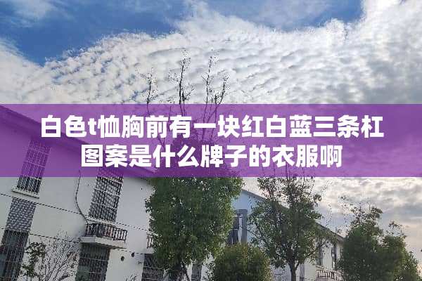 白色t恤胸前有一块红白蓝三条杠图案是什么牌子的衣服啊