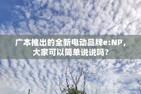 广本推出的全新电动品牌e:NP，大家可以简单说说吗？
