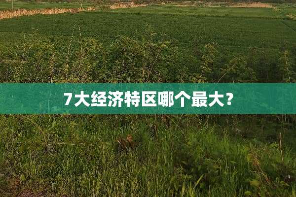 7大经济特区哪个最大？