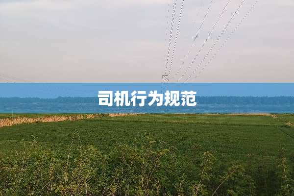 司机行为规范