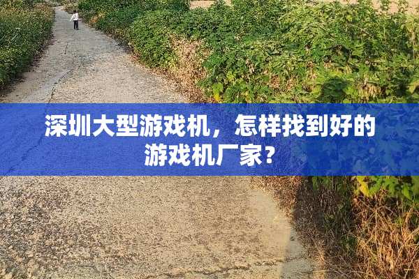 深圳大型游戏机，怎样找到好的游戏机厂家？