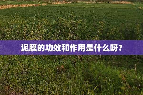 泥膜的功效和作用是什么呀？