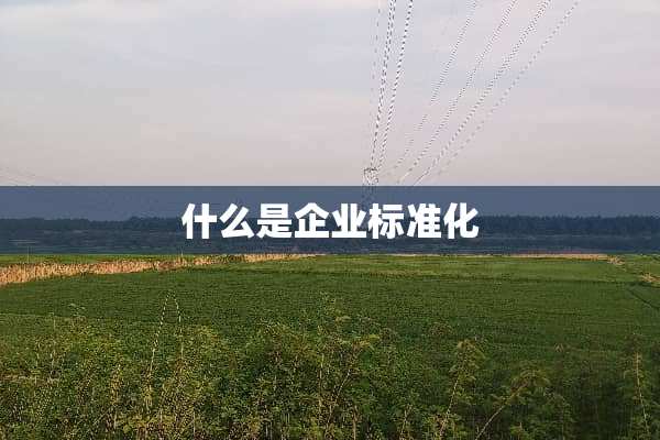 什么是企业标准化