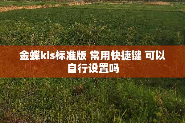 金蝶kis标准版 常用快捷键 可以自行设置吗