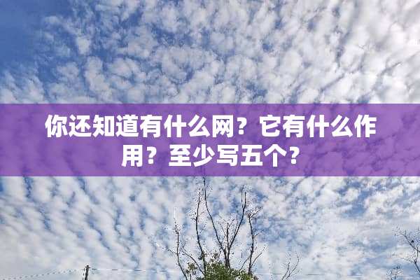 你还知道有什么网？它有什么作用？至少写五个？