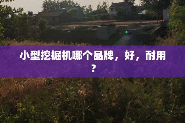 小型挖掘机哪个品牌，好，耐用？