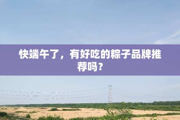 快端午了，有好吃的粽子品牌推荐吗？