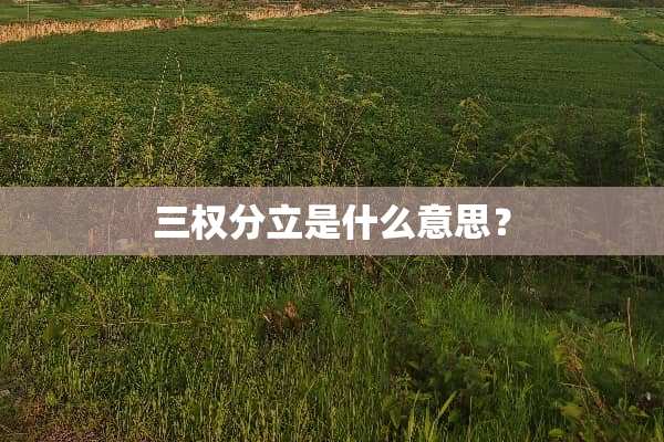 三权分立是什么意思？