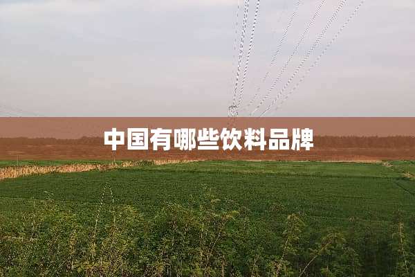 中国有哪些饮料品牌
