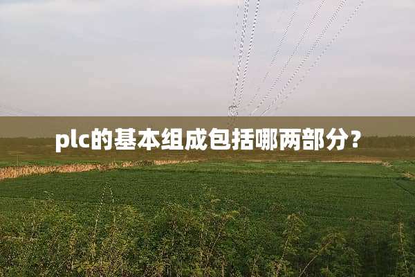 plc的基本组成包括哪两部分？