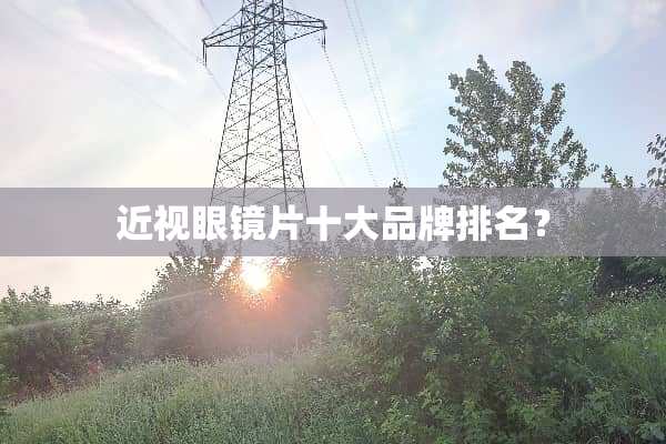 近***片十大品牌排名？