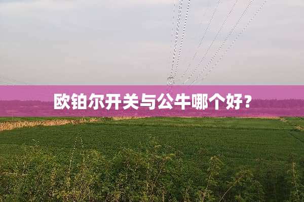 欧铂尔开关与公牛哪个好？