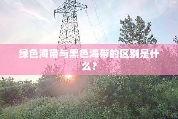 绿色海带与黑色海带的区别是什么？