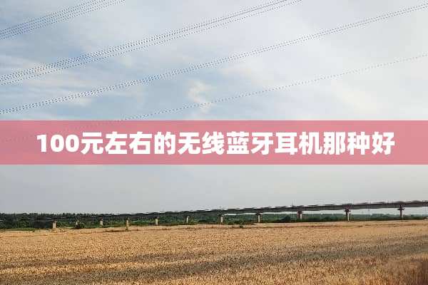 100元左右的无线蓝牙耳机那种好