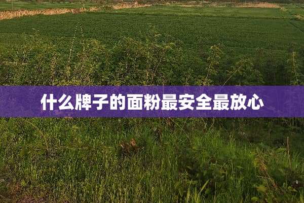 什么牌子的面粉最安全最放心