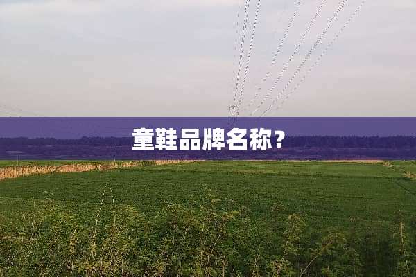 童鞋品牌名称？