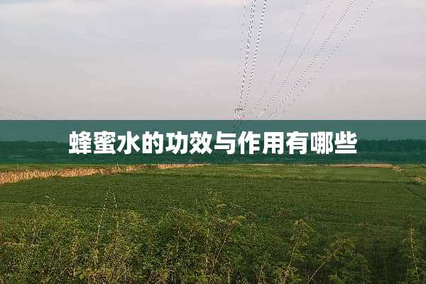 蜂蜜水的功效与作用有哪些