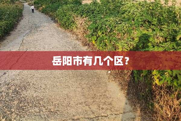 岳阳市有几个区？