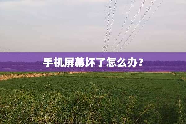 手机屏幕坏了怎么办？