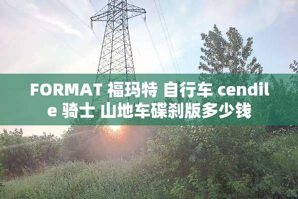 FORMAT 福玛特 自行车 cendile 骑士 山地车碟刹版多少钱